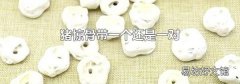 猪惊骨带一个还是一对
