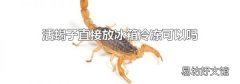 活蝎子直接放冰箱冷凍可以嗎