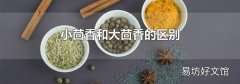 小茴香和大茴香的區別