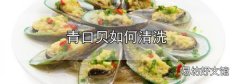 青口貝如何清洗