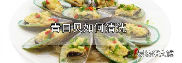 青口貝如何清洗