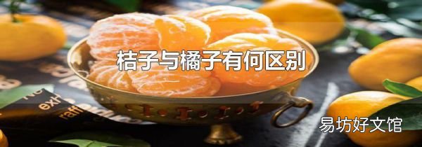 桔子与橘子有何区别
