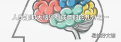 人出生時大腦只有成年時的幾分之一