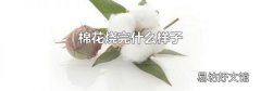棉花燒完什么樣子