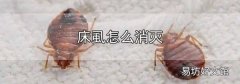 床虱怎么消滅