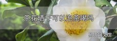茶花曬干可以泡茶喝嗎