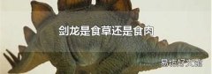 劍龍是食草還是食肉