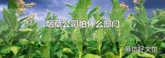 煙草公司怕什么部門