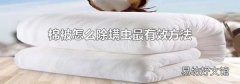 棉被怎么除螨蟲最有效方法