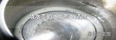 燒水壺的水垢怎么清除