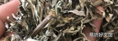 艾草葉泡腳可以緩解扭傷腳痛嗎