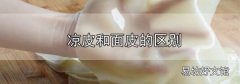涼皮和面皮的區別