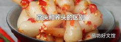 藠頭和蕎頭的區別