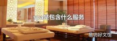 spa是包含什么服務