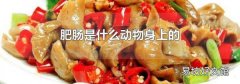 肥肠是什么动物身上的