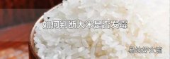 如何判斷大米是否發霉