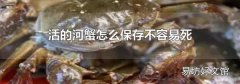 活的河蟹怎么保存不容易死