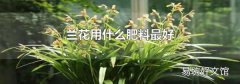 蘭花用什么肥料最好