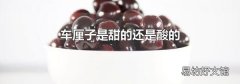 車厘子是甜的還是酸的
