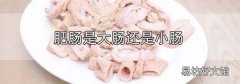肥腸是大腸還是小腸