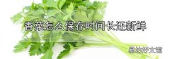 香菜怎么保存时间长还新鲜