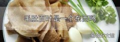 毛肚百叶是一个东西吗