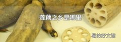 蓮藕之鄉是哪里