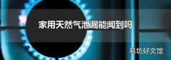 家用天然氣泄漏能聞到嗎