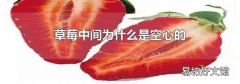 草莓中間為什么是空心的