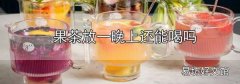 果茶放一晚上還能喝嗎