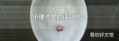 小便池里的球叫什么