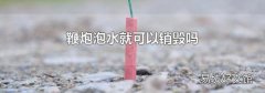 鞭炮泡水就可以銷毀嗎