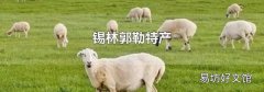 錫林郭勒特產