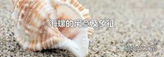 海螺的寓意及象征