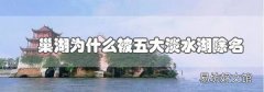巢湖為什么被五大淡水湖除名