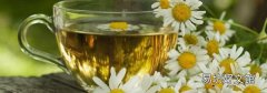 菊花茶能和綠茶一起泡嗎