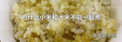 為什么小米和大米不能一起煮