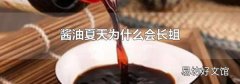醬油夏天為什么會長蛆