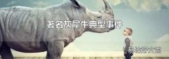 著名灰犀牛典型事件