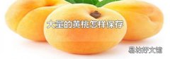 大量的黄桃怎样保存