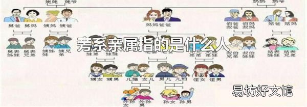 旁系親屬指的是什么人