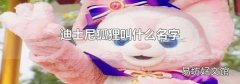 迪士尼狐貍叫什么名字