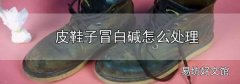 皮鞋子冒白堿怎么處理
