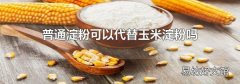 普通淀粉可以代替玉米淀粉嗎
