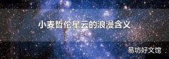 小麥哲倫星云的浪漫含義
