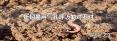 蚯蚓是用氣孔呼吸的對不對