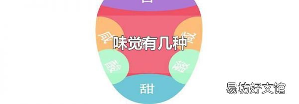 味覺有幾種
