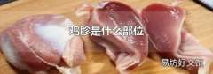 雞胗是什么部位