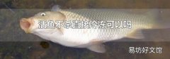 活鱼不杀直接冷冻可以吗