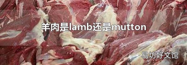 羊肉是lamb還是mutton